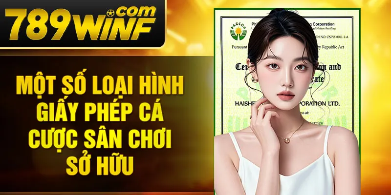 Một số loại hình giấy phép cá cược sân chơi sở hữu