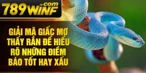 Giải mã giấc mơ thấy rắn để hiểu rõ những điềm báo tốt hay xấu